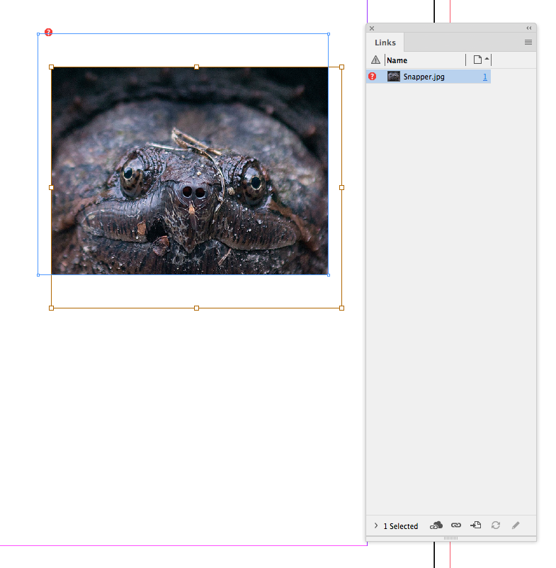 Screen Shot 17.png